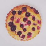 豆腐とブルーベリーのビーガンクラフティー〈Tofu and blueberries of vegan Crafty〉